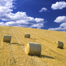 bales of straw and blue cloudy sky